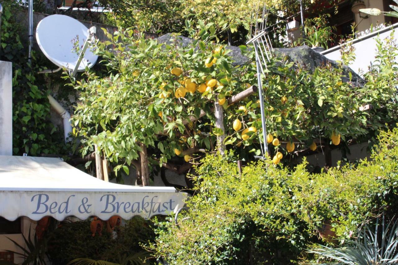 Bed & Breakfast Casa Anna Rita Vietri Extérieur photo